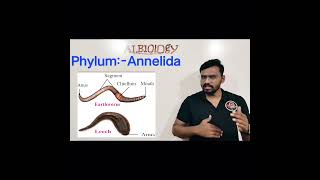 Phylum Annelida  Animal classification  Viral Short  Avinash sir [upl. by Tecil]