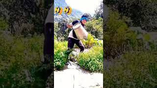 Funny comedy video 😂😂😂funnyvideo comedy [upl. by Ahiel]