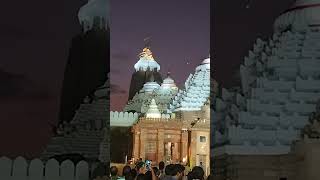 Sandhya darsan 5112024 Jagannath Temple Puri Jagannath Mahabahu Shorts [upl. by Melinda]