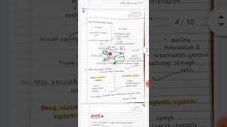 Structural organisation in animals Class 11 Biology Notes [upl. by Syst531]