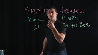 Saturated vs Unsaturated Fatty Acids [upl. by Kaja]