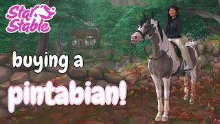 buying a pintabian  star stable [upl. by Roselane]