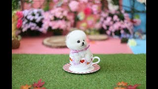 taza de té cachorro perroVideo Pomerania 6 [upl. by Radie]