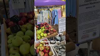 November 16th Farmers Market garden farmwithus farmersmarket gardening farmtomarket [upl. by Hiett]