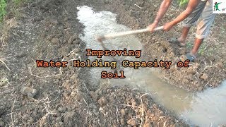 Improving water holding capacity of soil  Farm Innovator Subhash Sharma 24 [upl. by Iphlgenia]