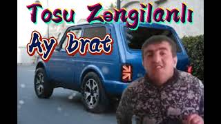 Tosu Zengilanli  AY BRAT Azeri Bass Music 2021 yeni [upl. by Eninotna925]