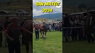 💪🐎🏔️FERIA DE SAN MATEO 2024🏔️🐎 horse horsebreed caballos horselovers [upl. by Nial]