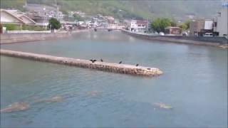 瀬户内海 小豆島 土浏海峡 世界上最狹窄的海峽 52019 Shodoshima Seto Inland Sea Japan [upl. by Gregory209]