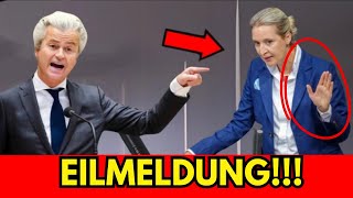 Geert Wilders Schockierende Botschaft an Alice Weidel – Ein Neuer Abschnitt im Kampf für Europa [upl. by Casie645]