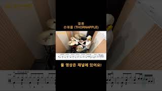 멸종쏜애플 THORNAPPLE drumcover 드럼연주 멸종챌린지 [upl. by Ronoel]