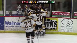 Austin Bruins vs Minot Minotauros  highlights  1518 [upl. by Einner]