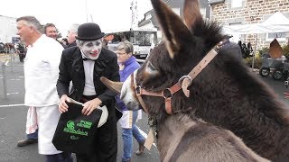 Foire aux poulains Plaintel 2017 [upl. by Aihcats]