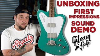 Gibson NonReverse Thunderbird  GIBSON A GO GO [upl. by Sydney]