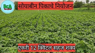 Soyabean pikache niyojan  सोयाबीन पिकाचे नियोजन कसे करावे  kisanagrotech [upl. by Asirak]