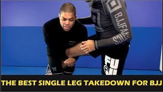 The Best Single Leg Takedown For Brazilian Jiu Jitsu by Andre Galvao [upl. by Emyam394]