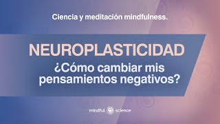 Neuroplasticidad Cerebral ¿Cómo Cambiar mis Pensamientos Negativos  Mindful Science [upl. by Adnorrahs]