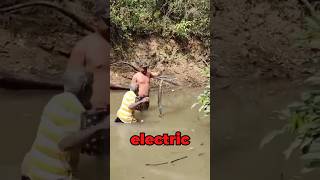 Man vs Electric Eel 😱 [upl. by Carroll]