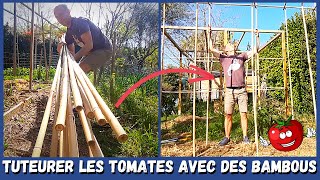 Construction dune structure en BAMBOU pour accueillir les TOMATES 🍅🍅 [upl. by Lamaj]