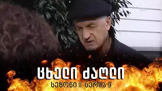 ცხელი ძაღლი  სეზონი 2 სერია 9 [upl. by Nehgem734]