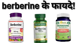 berberine benefits  berberine ke fayde  berberine side effects  berberine how to take  berberine [upl. by Marcel]