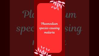 Plasmodium Species and Their Malaria Types A Quick Guide [upl. by Saum]