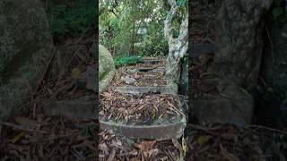 Abandon Resort  Left for Nature Seychelles [upl. by Ringler156]