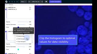 Efficient data viewing with the histogram menu [upl. by Orella]