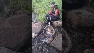 Ang laki ng huli habang naglalaro ng ml sa phone amizing fishingtechniques [upl. by Cormick796]