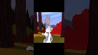 Classic Looney Tunes The Ultimate Comedy Gold [upl. by Shlomo240]