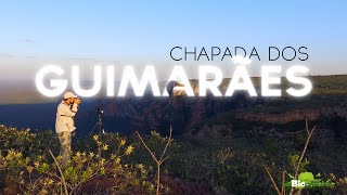 CHAPADA DOS GUIMARAES with Biodiverse Brazil Tours [upl. by Ekram502]