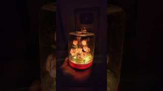 Its so beautiful lamp tulips diy 3dpen craft 3dpenart 3dpencreations shorts art ytshorts [upl. by Kandace]