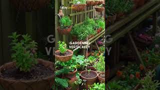 6 Smart Small Yard Landscaping Ideas  Simple Gardening Tips shorts [upl. by Mossman656]