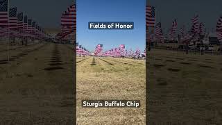 Breathtaking Fields of Honor at Sturgis Buffalo Chip [upl. by Lasiaf]