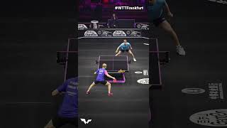 Slick moves by the new World No4 🌟 WTTFrankfurt TableTennis [upl. by Hull]