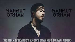 Sigrid  Everybody Knows Mahmut Orhan Remix [upl. by Gershon]