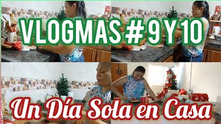 VLOGMAS  UN DIA SOLA EN CASA  YA LLEGUE DEL PUEBLO [upl. by Eyeleen127]