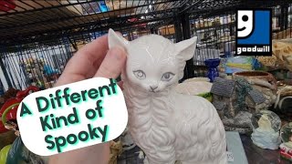 A Different Kind of Spooky  Shop Along With Me  Goodwill Thrift Store [upl. by Dayir126]