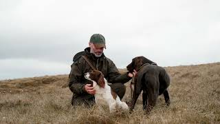 Reel  Features Struther Trilaminate Long Smock amp Rannoch Thermal Jacket with dogs 30secs [upl. by Dowdell]