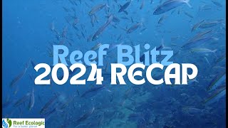 ReefBlitz on the Great Barrier Reef 2024 [upl. by Joceline]