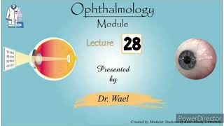 28 Ocular Motility in Health and Disease 3 Paralytic start of Concomitant Squint Dr Wael Ophthalmo [upl. by Schuh146]