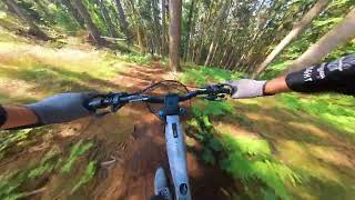 Deister 2023  Giant Reign e1  Ebike Tour  Insta360 X3 MTB [upl. by Lareena]