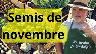 Les 10 meilleurs légumes à semer en novembre même par temps froid [upl. by Digirb]