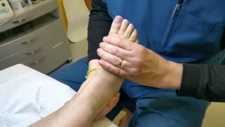 Mobilising MidTarsal Joint of foot [upl. by Yeargain603]