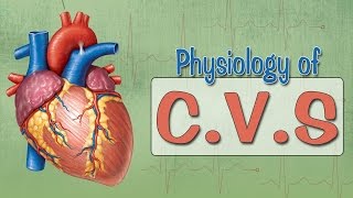 Easy Physiology  CVS  Cardiac Action Potential [upl. by Durkee]