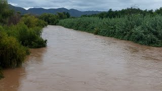 DESBORDAMIENTO DEL RIO NAZAS MUNICIPIO DE NAZAS DGO [upl. by Ahtoelc]