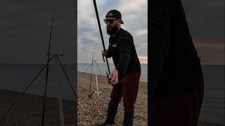 Chesil Beach is on fire 🔥 🔥chesil theshorehunter chesilbeach seafishing shorts fishing [upl. by Anilak]