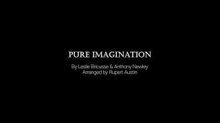 Pure Imagination Piano Cover [upl. by Crane911]