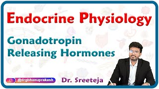 Gonadotropin Releasing Hormones  Endocrine physiology USMLE Step 1 [upl. by Yuille123]