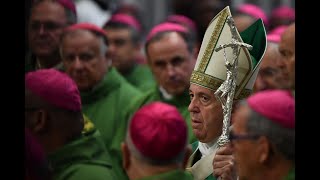 Vatican  vers la fin au célibat des prêtres en Amazonie [upl. by Airdnahs250]