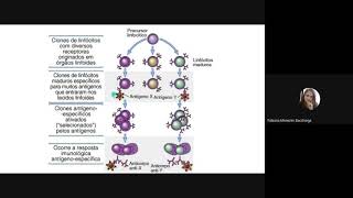 Aula 2 Imunidade Adquirida [upl. by Novit466]